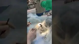 Что только не делают офтальмологи
