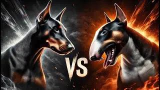 Doberman vs Bull Terrier: Strength, Speed, and Power 2025