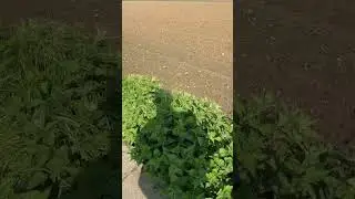 Обзор жизни в Германии глазами ведущего инженера