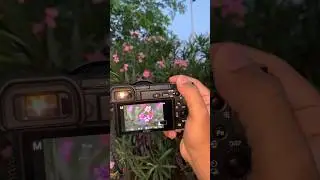 Sony A6400 photography test 📸 