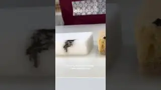 Про пигменты для татуажа 
