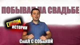 СВАДЬБА, ГОПНИК АУЕ, СПАЛ С СОБАКОЙ, ИСТОРИЯ О ТОМ КАК, Я СГОНЯЛ НА СВАДЬБУ!