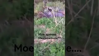 Уровень моего зрения Бобёр! 🤣