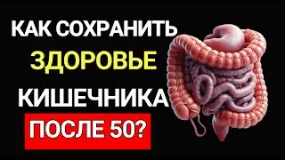 Как сохранить здоровье кишечника после 50 лет? Как достичь долголетия?  #кишечник #здоровье