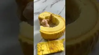 this video made my day 😍😍 watch this video mades u day too ||watch now #mademyday