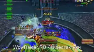 Тактика на Валитрию Сноходицу, WowRaider.Ru