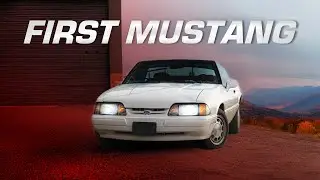 I Bought a MUSTANG! 🐎
