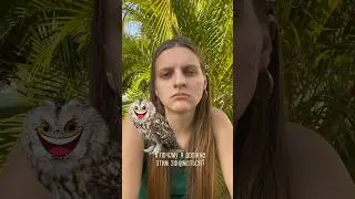 Природа никогда не ошибается и хуйни не слепитХуйню лепит лишь наш оценивающий ум
