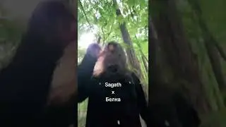 Sagath - Вылетают зубы