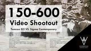 150-600: Sigma Vs Tamron GH5 Comparison (with Teleconverter)