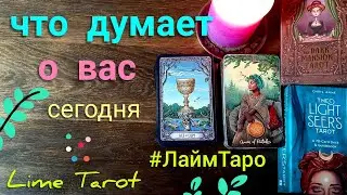 ЛАЙМ ТАРО Lime tarot Что он думает о вас сегодня? Его чувства? Таро прогноз гадание онлайн