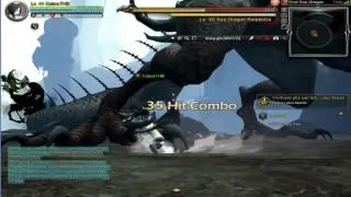 DRAGON NEST DUEL DRAGON SEA(SOLO)