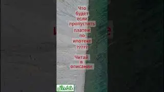 Что будет, если пропустить платеж по ипотеке