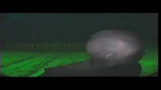 Курганское быдло