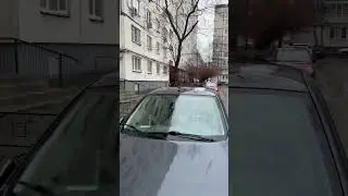 Весенний дождь 