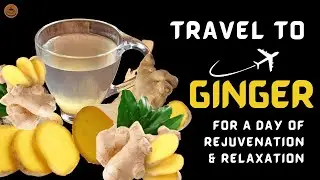 6 GOOD Reasons Why You Should Drink GINGER WATER Daily