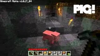 Minecraft - I HAZ A PIG