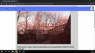 Using the GIF Generator API | Electro Cat Studios