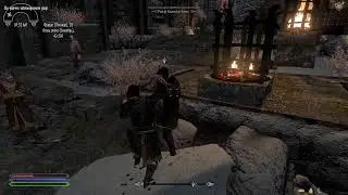 Прохождение The Elder Scrolls V: Skyrim Anniversary Edition ч7.1 (Путь в Виндхельм)