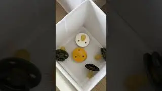 Nest with me pt. 2