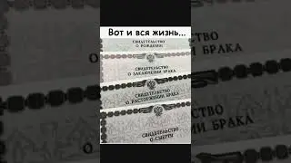 Вот и вся жизнь