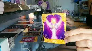 Gemini ~ Why Did They Do It?