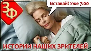 187 Новые Истории Наших Зрителей