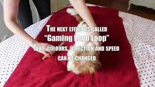 Premiere Pro 2021 Default Titles and Animations. Gaming Back Ground Loop to Gaming Transition