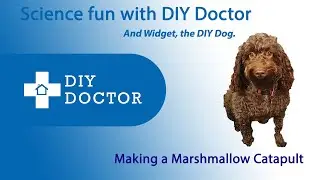Science fun with DIY Doctor  Making a Marshmallow Catapult