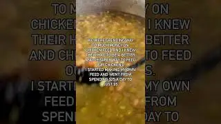 Full video on how I did this on my channel. It’s quick and I get straight to the point. #chickens