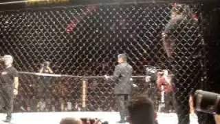 Ufc 94 From my ringside seats!!-Arianny Celeste