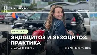 ЗАДАЧИ НА ЭНДОЦИТОЗ И ЭКЗОЦИТОЗ НА ЕГЭ ПО БИОЛОГИИ 2024 | НОО