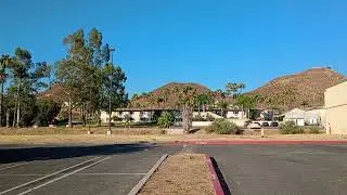 lake elsinore ca Beautiful Shade Trees 7/20/24