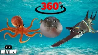 360° VR Oceanic Gegagedigedagedago 6