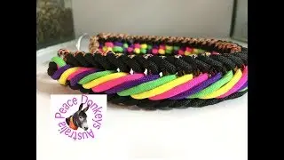 Licorice all sorts paracord dog collar