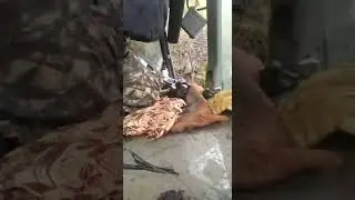 Прикол. Пьяный на тракторе