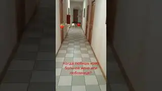 #Марта Добрая#
