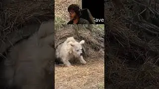 How old is this bear? 🐻 ~ Stresss Reacts