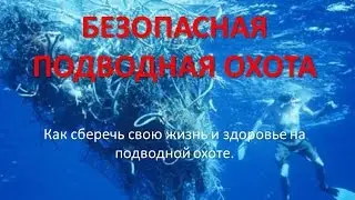 Безопасная подводная охота  Как сохранить свою жинь и здоровье на подводной охоте