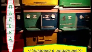 Зимовка в омшанике. Пасека.