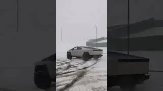 Cyber Donuts 🍩🍩 ZOOM ZOOM