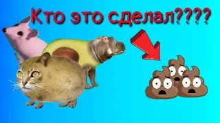 Мышка сосиска кошка картошка авокадо бегемот. Кто это сделал????