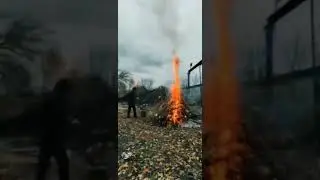Краткая нарезка итогов опиловки деревьев в ГСК Юбилейный