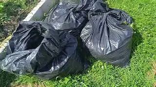 МУЛЬЧИРОВАНИЕ ГРЯДОК СКОШЕННОЙ ТРАВОЙ МОИ ТЁПЛЫЕ ГРЯДКИ.