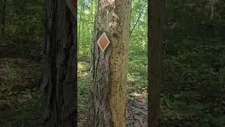 Blazed Tree = Doomed Tree