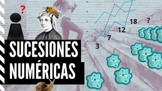 SUCESIONES❗❗: Qué son, para qué sirven, cómo se resuelven. Explicación fácil