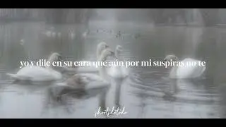 EL PERDEDOR/MALUMA(LETRA) LYRICS