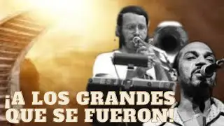 Las hojas caídas de la salsa