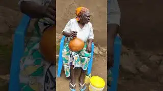 Traditional fermented milk churning