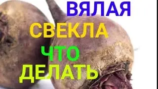 Как восстановить мягкую/увядшую свёклу/Как хранить свёклу чтоб не вяла